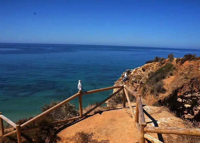 Paraiso De 포티마오