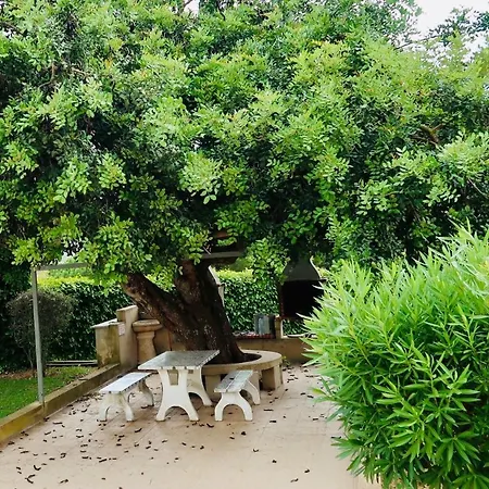 דירה Paraiso De