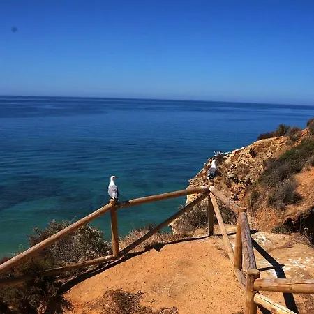 Paraiso De פורטימאו