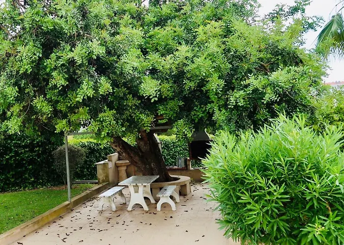 Apartment Paraiso De